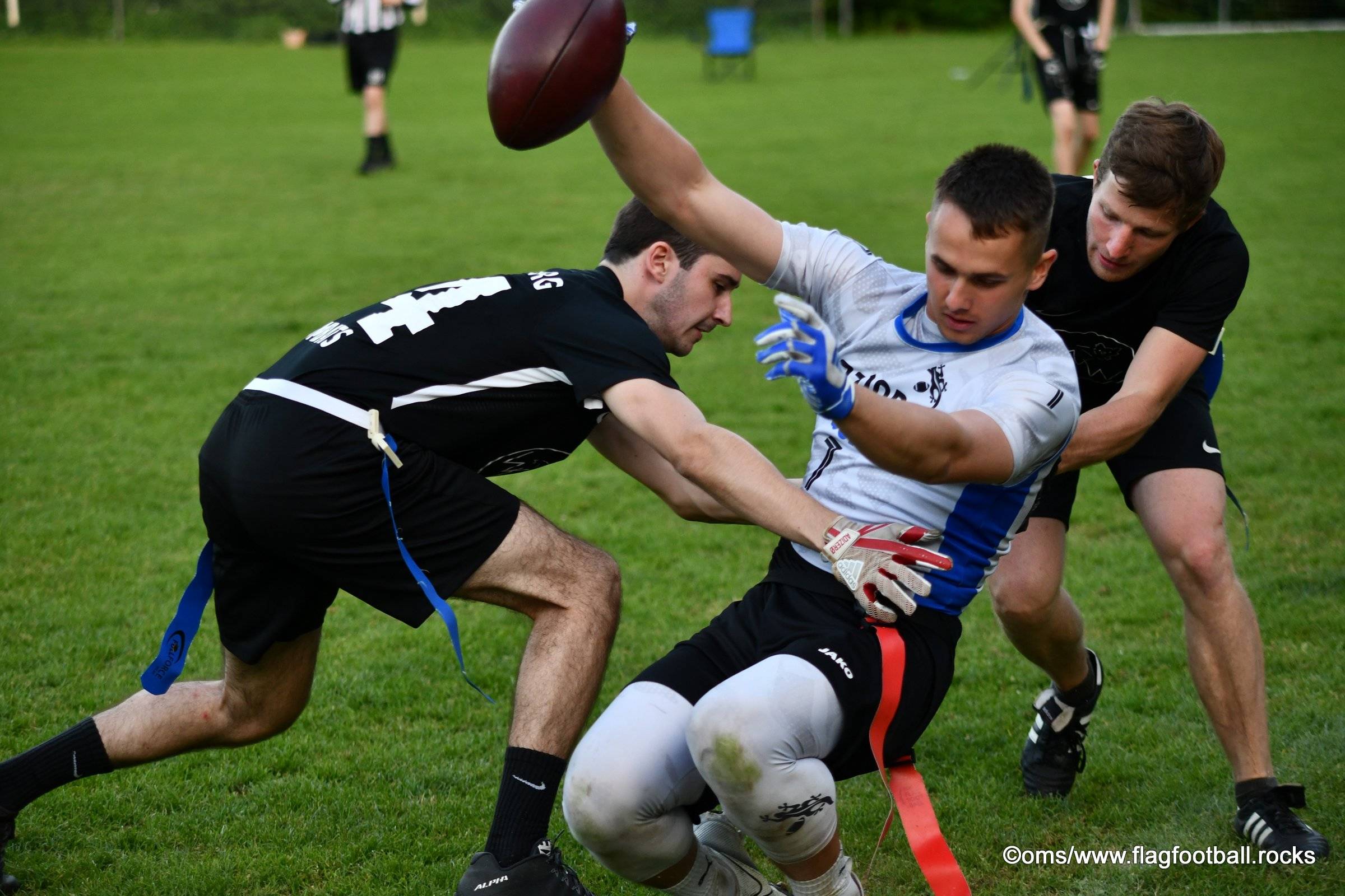 5er DFFL Spieltag am 15.5.2022 in Bamberg - Kelkheim Lizzards vs. Würzburg Wombats